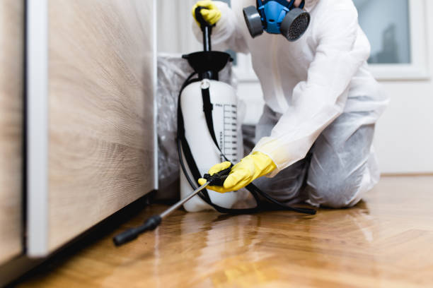 Best Mosquito Control Services  in Pacific, MO