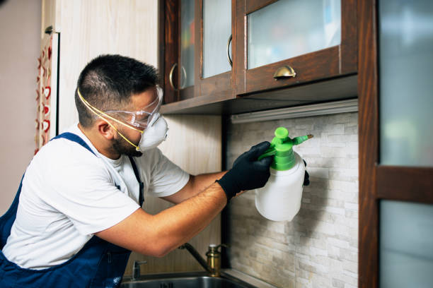 Best Emergency Pest Control  in Pacific, MO