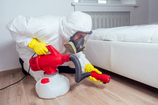 Reliable Pacific, MO Pest Control Solutions