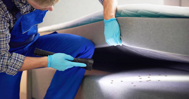 Best Residential Pest Control  in Pacific, MO