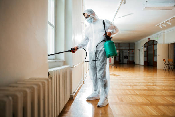 Best Pest Control Near Me in Pacific, MO