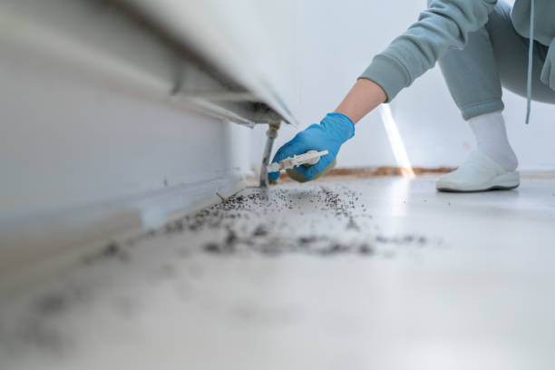 Best Commercial Pest Control Services  in Pacific, MO